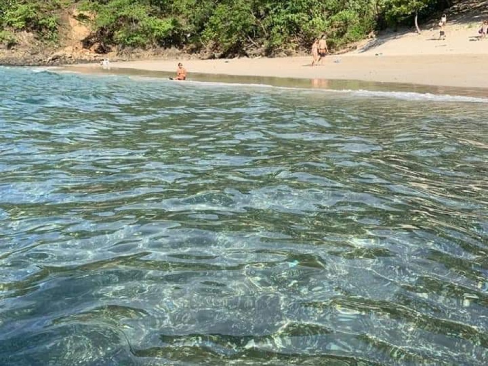 Expedición en Bote por la Costa