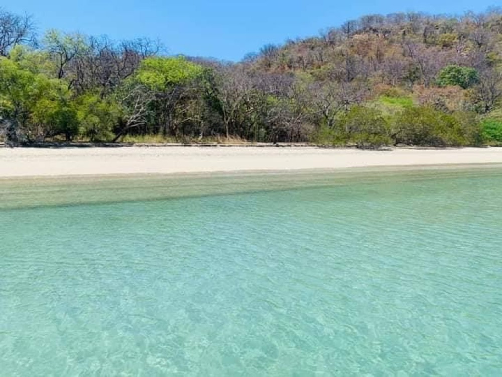 Expedición en Bote por la Costa