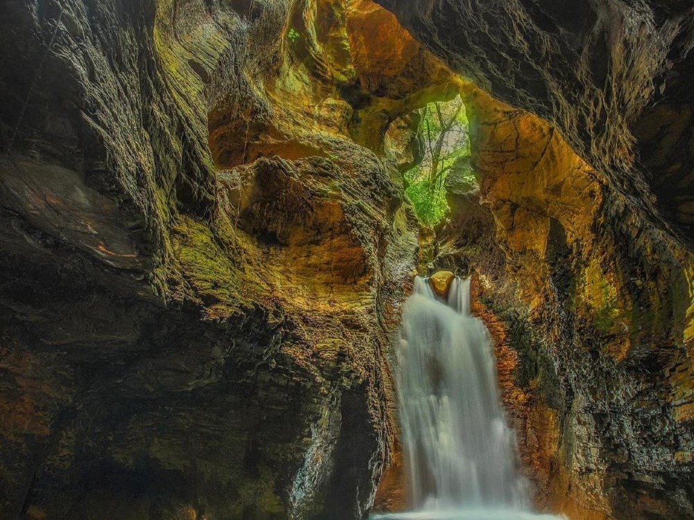 Tour a la Catarata La Leona