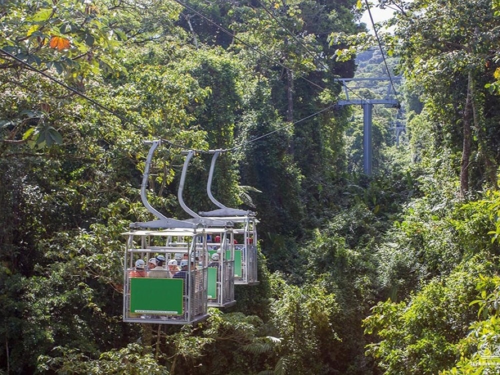 Tour al Bosque Nuboso de Monteverde