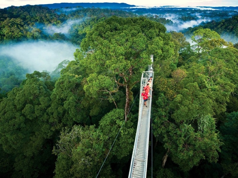 Tour al Bosque Nuboso de Monteverde