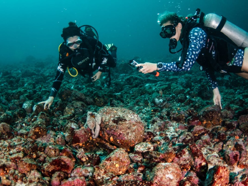 Tour de Buceo